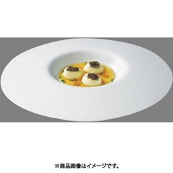 RT イン グレディエンティ 30030 ラウンドプレート 30cm RLCH201