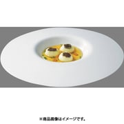RT イン グレディエンティ 30030 ラウンドプレート 30cm RLCH201