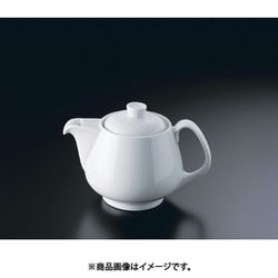 RT エポック 10630-34221 ティーポット3人用 RLCC901