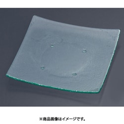 スクエアプレート310 161-193-00 クリア RTI6601
