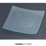 スクエアプレート310 161-193-00 クリア RTI6601