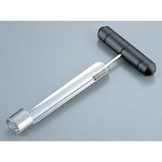 プラ柄パイナップルコアラー 120400(217588) BTL4501