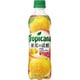 トロピカーナ 果実の炭酸 テキサス レッドグレープフルーツ 410ml×24本 [炭酸飲料]