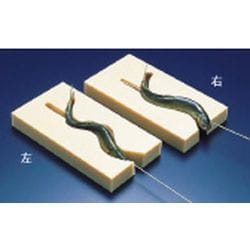 PE魚串打ち器 大 左 DSK02012