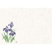 四季壊紙 テーブルマット(100枚入) No.404 あやめ QKIN901
