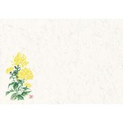四季壊紙 テーブルマット(100枚入) No.406 きく QKIO101