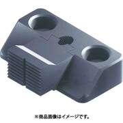 TC16BS [スライドクランプ BSGタイプ]