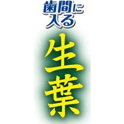 ヨドバシ.com - 小林製薬 生葉 生葉 歯間に入るブラシ レギュラー