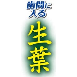 ヨドバシ.com - 小林製薬 生葉 生葉（しょうよう）歯間に入るブラシ 歯ブラシ コンパクト ふつう 通販【全品無料配達】