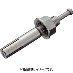 オールアンカーSCタイプ M20×130 2本入 SC2013BT