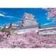 05-103 [ジグソーパズル めざせパズルの達人：日本風景・春 姫路城の満開桜-兵庫 500ピース]
