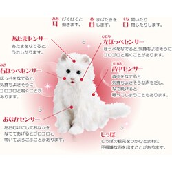 ヨドバシ.com - セガトイズ 夢ねこプレミアム [夢ペットシリーズ