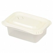 HB-2910 [EasyPack 保存容器 長方形 L 2個組]