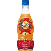 オランジーナ ホリデーミックスウィズベリー 420ml×24本