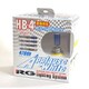 GB4A [アプローズホワイト 4700K 車検対応品 HB4 110W ハロゲンバルブ]
