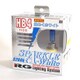 GB4K [スパークルホワイト 5200K 車検対応品 HB4 110W ハロゲンバルブ]