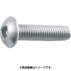 B1010306 [三角穴ボタンボルト ステンレス M3×6 12本入り]