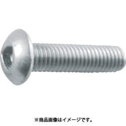 B1010308 [三角穴ボタンボルト ステンレス M3×8 12本入り]