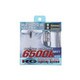 RGH-RB765 [純正交換HIDバルブ D2S/R 6500K 車検対応品]