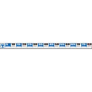 メジャーステッカータイプ1 80cm/5cm ブルー
