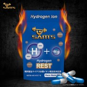 H002 [HYDROGEN REST]