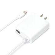 AC充電器 USB TYPE-Cコネクタ USBポート搭載 ホワイト PG-CAC30A04WH