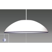 LEDペンダント 6畳用 調光 昼光色 RV60051