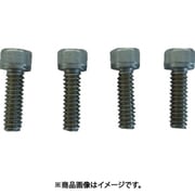 TSUB100NS [ステンレスバイスTSUB-100用 口金用ねじセット]