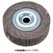 TFW10025180 [研磨輪 外径100 幅25 180＃ 2個入]