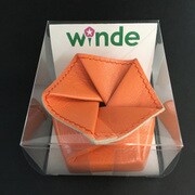 イヤホンケース メタリックオレンジ WINDE-O