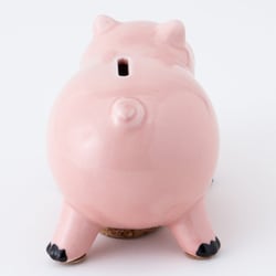 Disney トイストーリー ハム 貯金箱 Amazon.co.jp: ディズニーピクサー 「 トイ・ストーリー 」 ハム