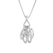 Dancing Stone Root NYP-582