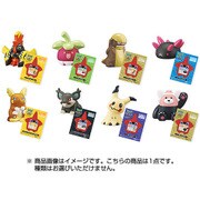 ポケモンキッズサン＆ムーン VS カプ・コケコ！編 [コレクション食玩]