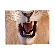 Animal Book Cover Lion VRT42105