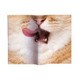 Animal Book Cover Cat VRT42107