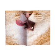 Animal Book Cover Cat VRT42107