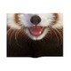 Animal Book Cover Lesser Panda VRT42110