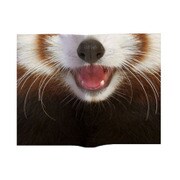 Animal Book Cover Lesser Panda VRT42110