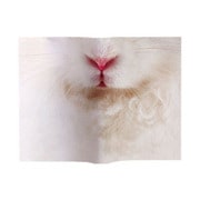Animal Book Cover Rabbit VRT42269