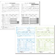 平成28年度版 源泉徴収票・給与支払報告書セット 100セット SR250