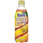 ウェルチ ほろにがスパークリング 500ml×24本 [炭酸飲料]