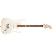 エレキギター AM PRO STRAT RW OWT