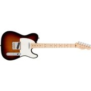 エレキギター AM PRO TELE MN 3TS