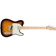 エレキギター AM PRO TELE MN 2TS