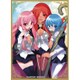 KS-21 [角スリvol.7 ゼロの使い魔/ルイズ＆タバサ＆キュルケ]