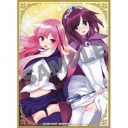 KS-22 [角スリvol.7 ゼロの使い魔/ルイズ＆アンリエッタ]