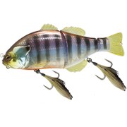 ギガンタレル ウロコホロ チギル