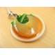 サンプルストラップ フカヒレの姿煮