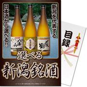 パネもく！ゴルフコンペ・ビンゴ・パーティー・二次会景品 選べる新潟銘酒（目録・A4パネル付） [ngt-sake-rb]