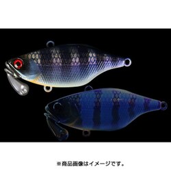 TN60 トリゴン マルハタケイムラギル [バイブレーション]